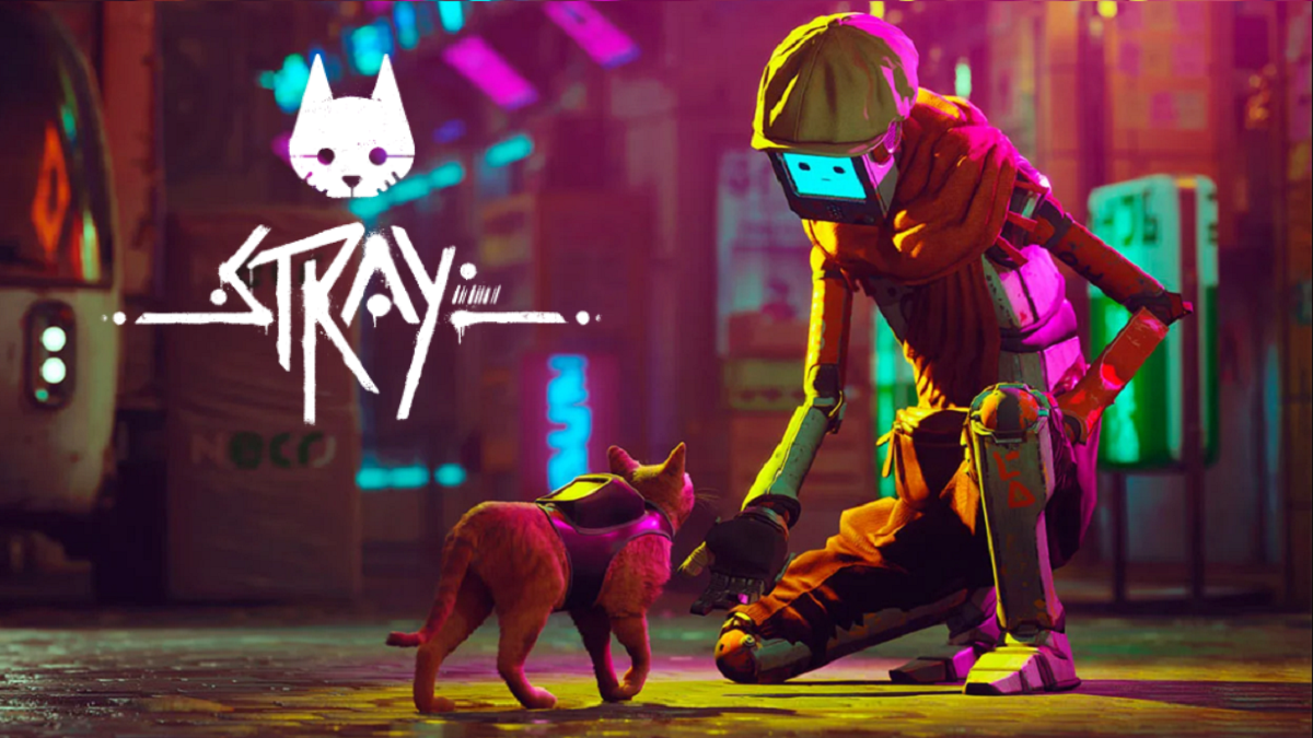 Stray neon cat